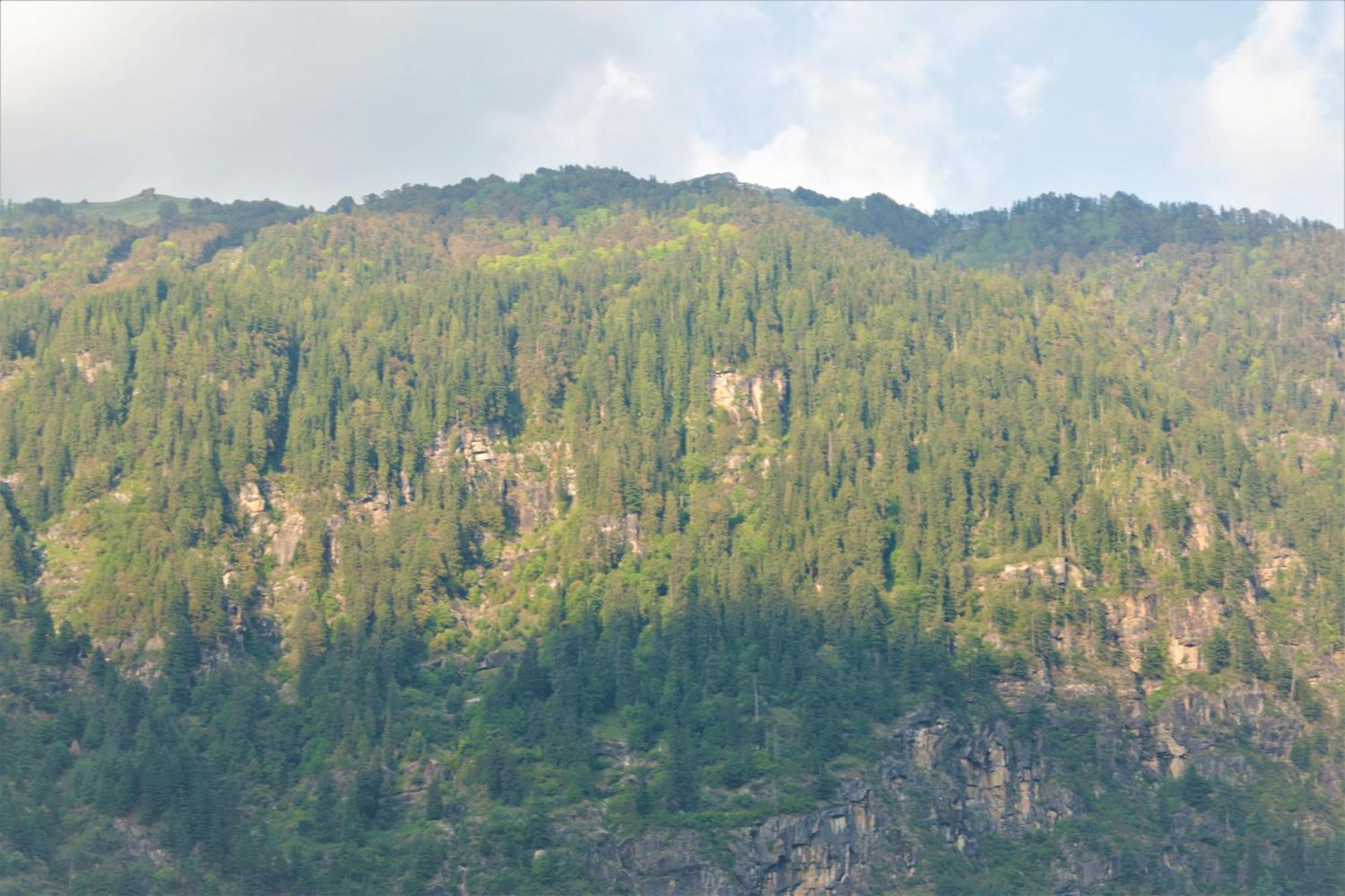 Beholden Stay And Cafe - A Luxury Boutique Hotel In Manali Manāli Exteriér fotografie